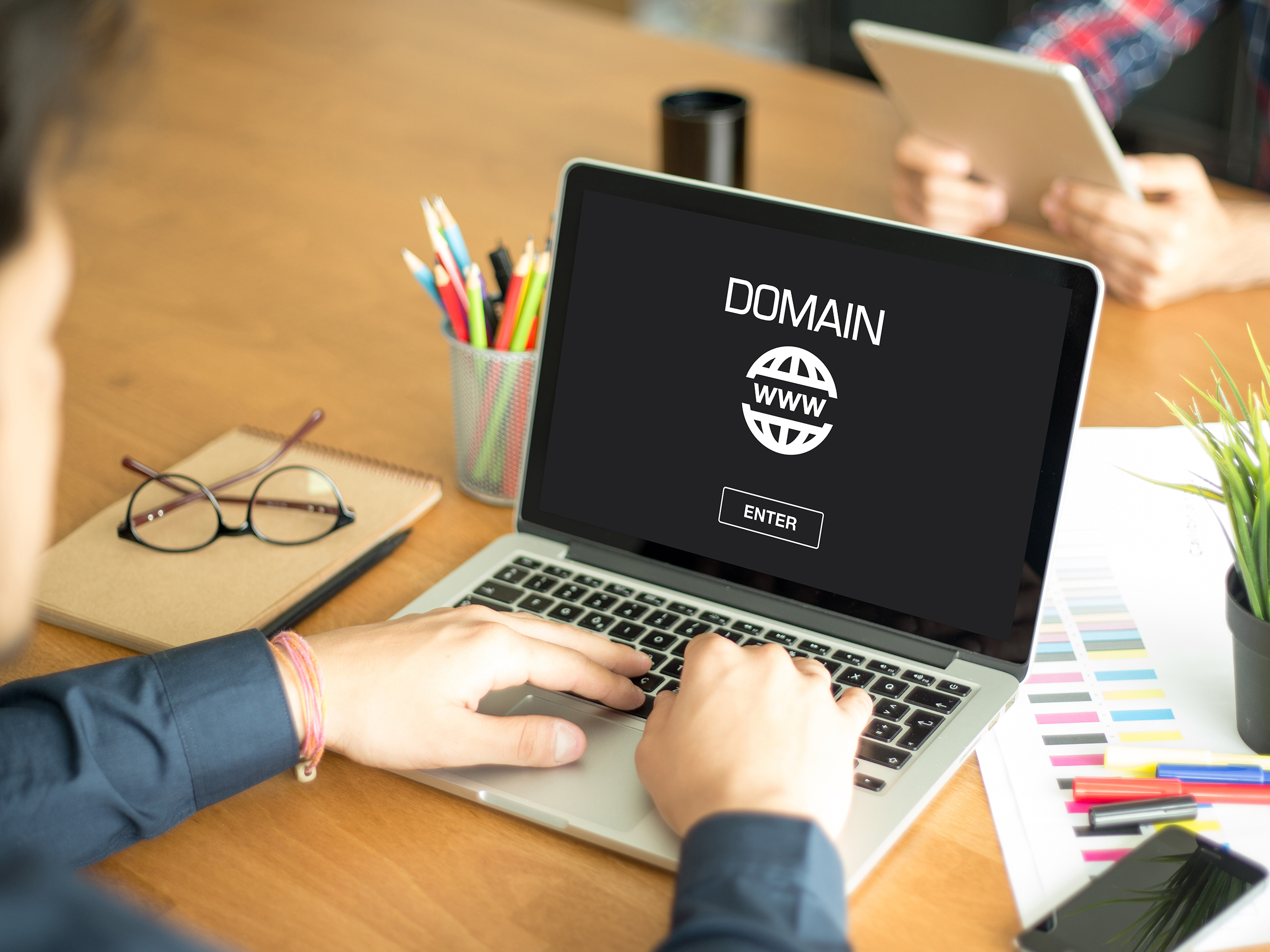 a domain investor managing his accounts