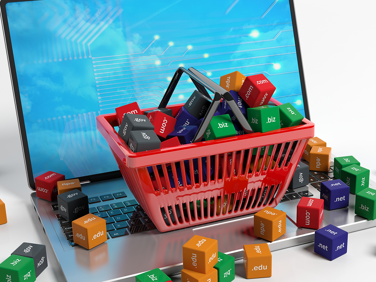 Domain names cubes in a shopping basket on a laptop. 3d illustration