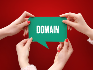 power of SEO in domain investing