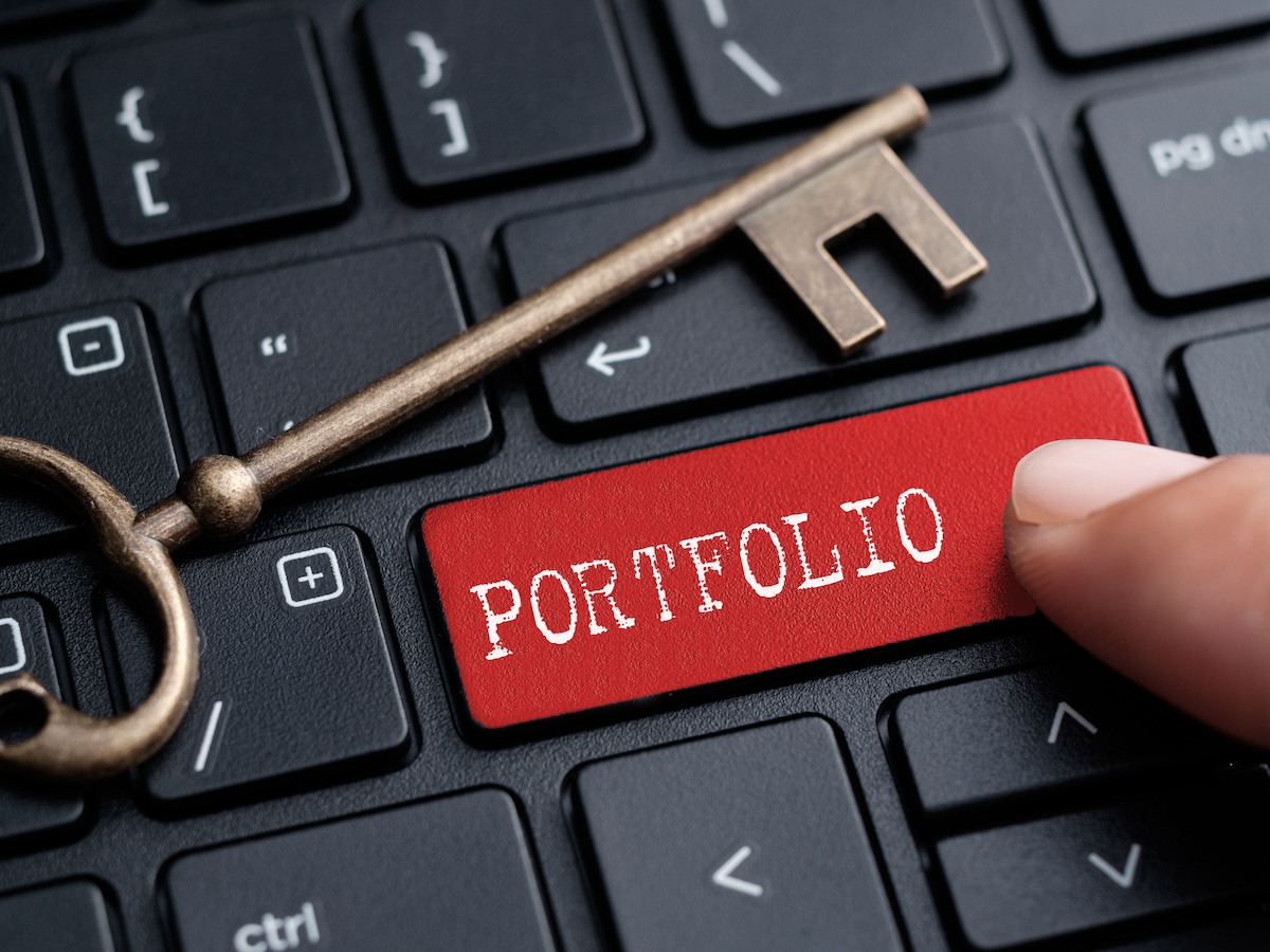 The Art of Digital Asset Management to Maximize Domain Portfolio of Investors